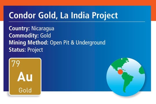WHITTLE CONSULTING CASE STUDY – CONDOR GOLD, LA INDIA