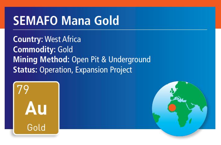 WHITTLE CONSULTING CASE STUDIES – SEMAFO, MANA GOLD